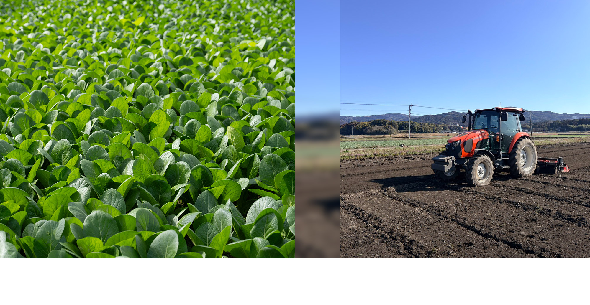 興膳農園 未来に繋がる種をまく