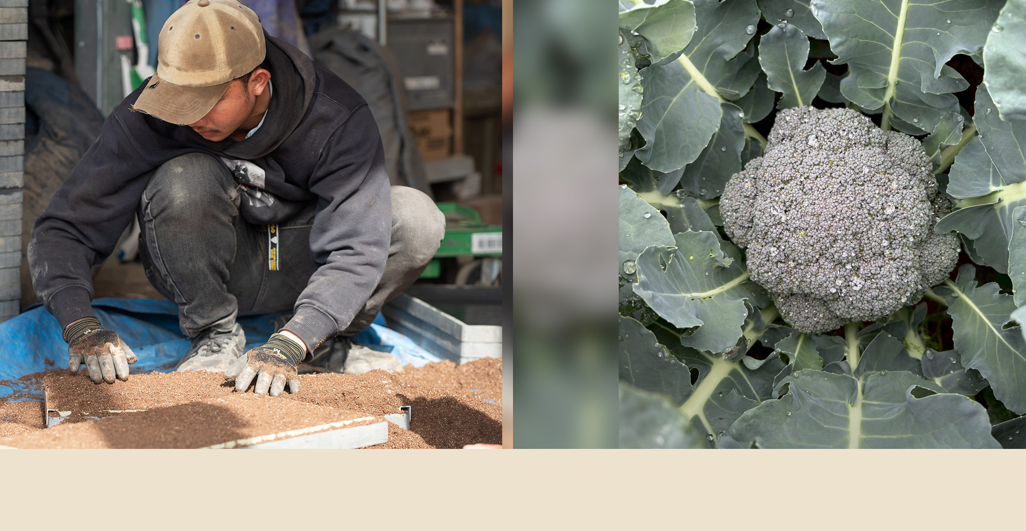 興膳農園 未来に繋がる種をまく