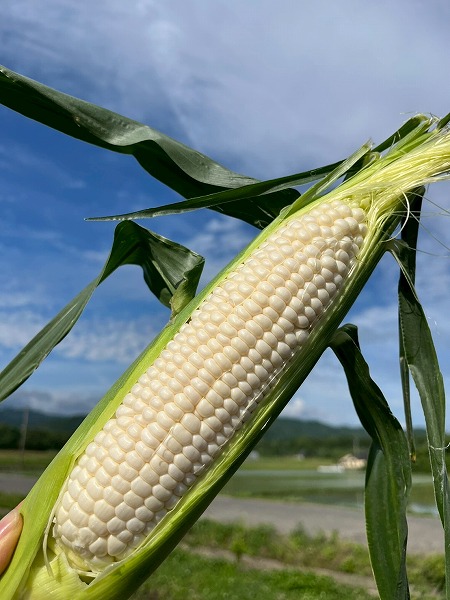 LINE_ALBUM_20260406_260406_33