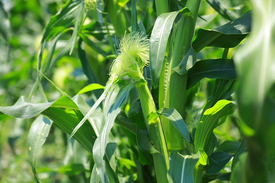 LINE_ALBUM_20260406_260406_5