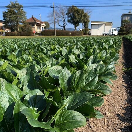 oc61c143fb19ee61dd26a30427922a047_4620693218527740153_200806_0002